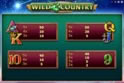 Wild Country