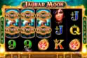 Jaguar Moon™