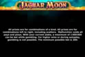 Jaguar Moon™