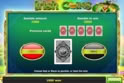 Irish Coins™