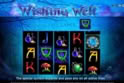 Wishing Well™
