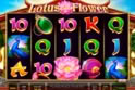 Lotus Flower™