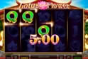 Lotus Flower™