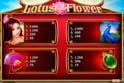 Lotus Flower™