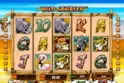 Wild Gambler