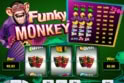 Funky Monkey