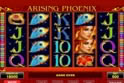 Arising Phoenix