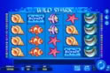 Wild Shark