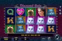 Diamond Cats
