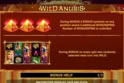 Wild Anubis