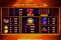Hot Fruits 40