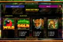 Amazon Gold