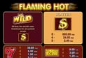Flaming Hot