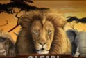 Safari