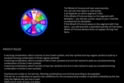 Rich Reels