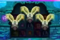 Collapsed Castle Bonus Buy