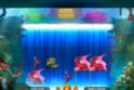 Irish Weekend Bonus Buy
