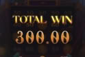 Lucky Porker Bonus Buy