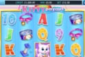 Kitty Payout