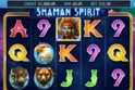 Shaman Spirit