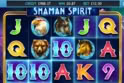 Shaman Spirit