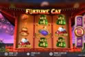 Fortune Cat