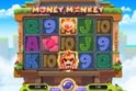 Money Monkey