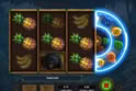 Rainforest Riches