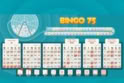 Bingo 75