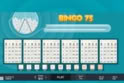 Bingo 75