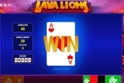 Lava Lions