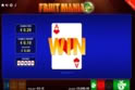 Fruit Mania DOUBLE RUSH