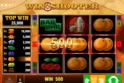 Win Shooter