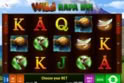 Wild Rapa Nui