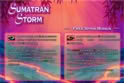 Sumatran Storm