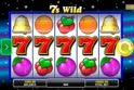 7s Wild