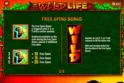 The Wild Life (EVA)