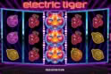 Electric Tiger