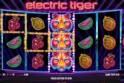 Electric Tiger