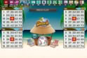Beach Bingo