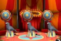 Circus Bingo