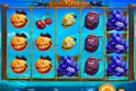 Lucky Pirates