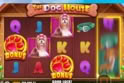 The Dog House™