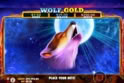 Wolf Gold™