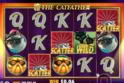 The Catfather™