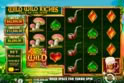 Wild Wild Riches™