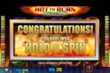 Hot to Burn: Hold and Spin™