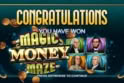 Magic Money Maze