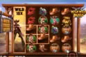 Wild West Duels™