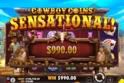 Cowboy Coins™